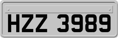 HZZ3989