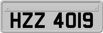 HZZ4019