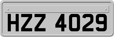 HZZ4029