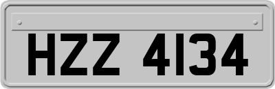 HZZ4134