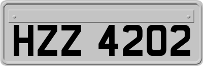 HZZ4202