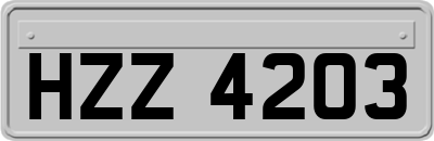 HZZ4203