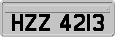 HZZ4213
