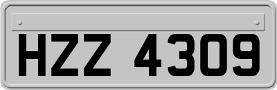 HZZ4309