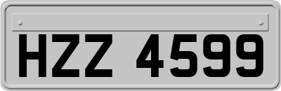 HZZ4599