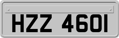 HZZ4601