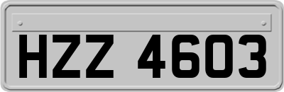 HZZ4603