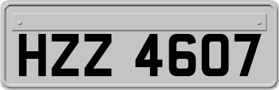 HZZ4607