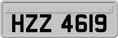 HZZ4619