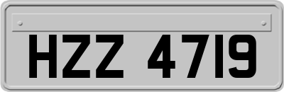 HZZ4719