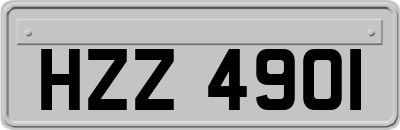 HZZ4901