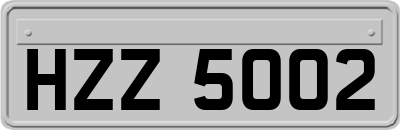 HZZ5002