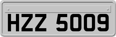 HZZ5009