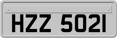 HZZ5021
