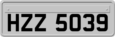 HZZ5039
