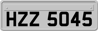 HZZ5045