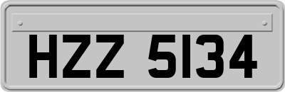HZZ5134