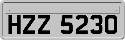 HZZ5230