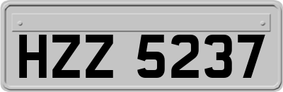 HZZ5237