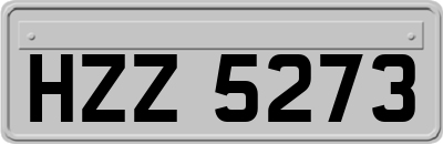 HZZ5273