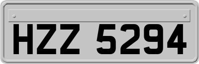 HZZ5294