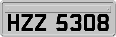 HZZ5308