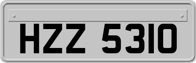 HZZ5310