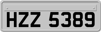 HZZ5389