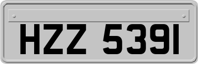 HZZ5391