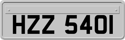HZZ5401