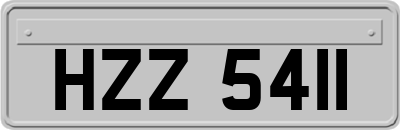 HZZ5411
