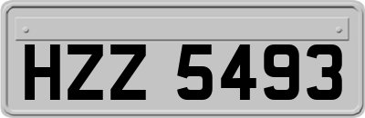 HZZ5493