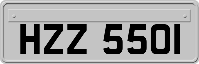 HZZ5501
