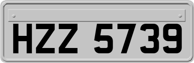 HZZ5739