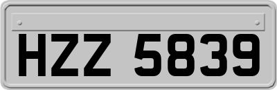 HZZ5839