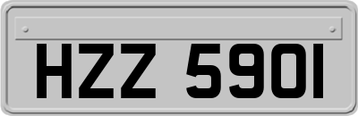 HZZ5901