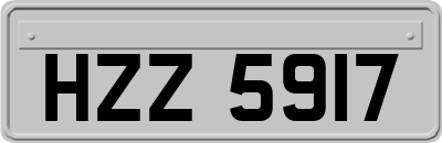 HZZ5917