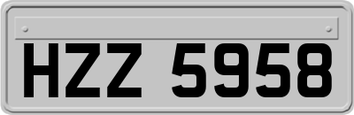 HZZ5958