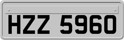 HZZ5960