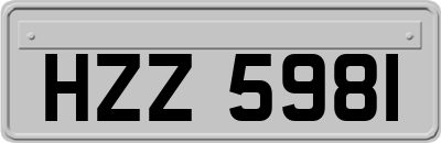 HZZ5981