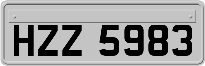HZZ5983