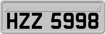 HZZ5998