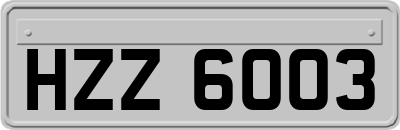 HZZ6003