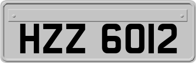 HZZ6012