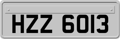 HZZ6013