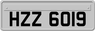 HZZ6019