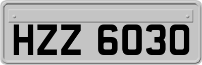 HZZ6030