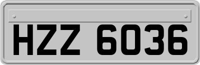 HZZ6036