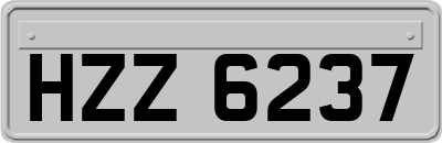 HZZ6237