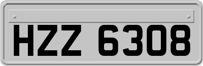 HZZ6308